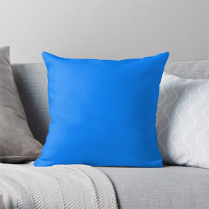 Blue Pillow Covers